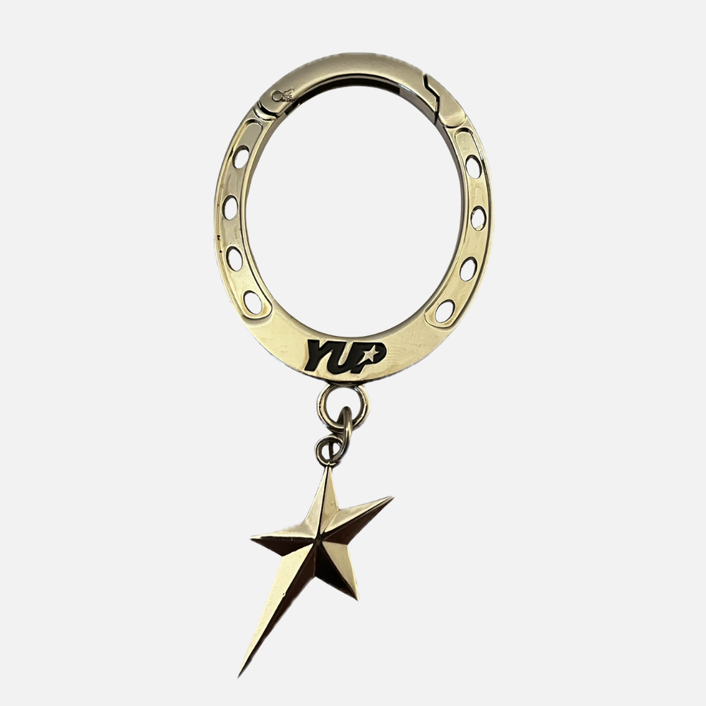 Horse Shoe Carabiner