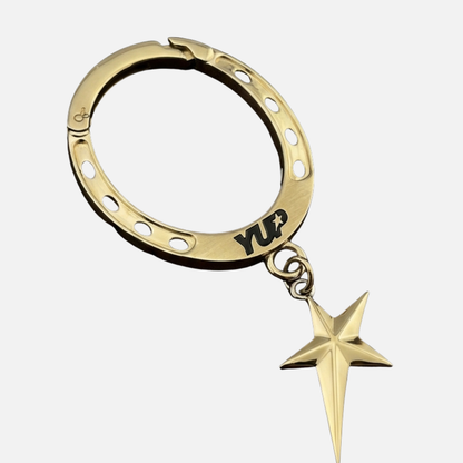 Horse Shoe Carabiner