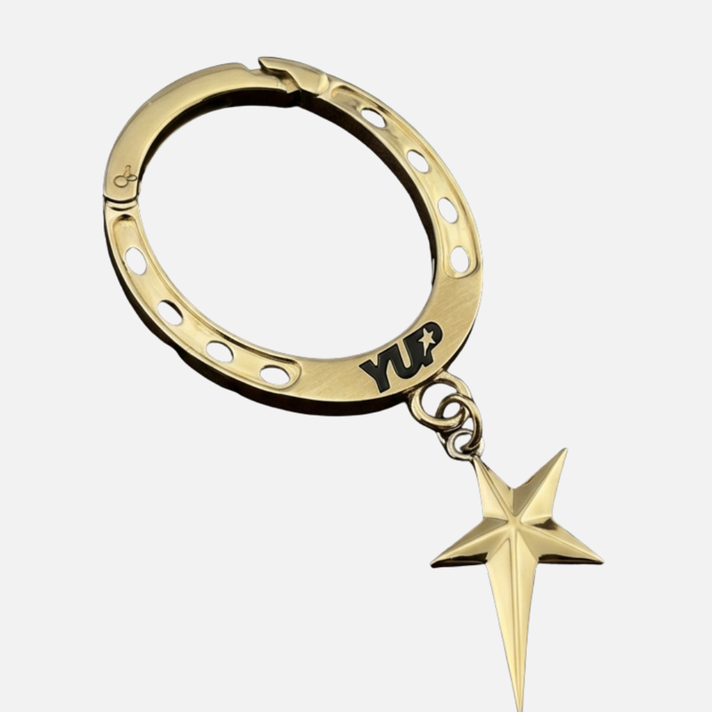 Horse Shoe Carabiner