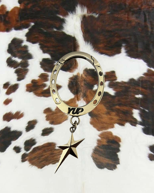 Horse Shoe Carabiner