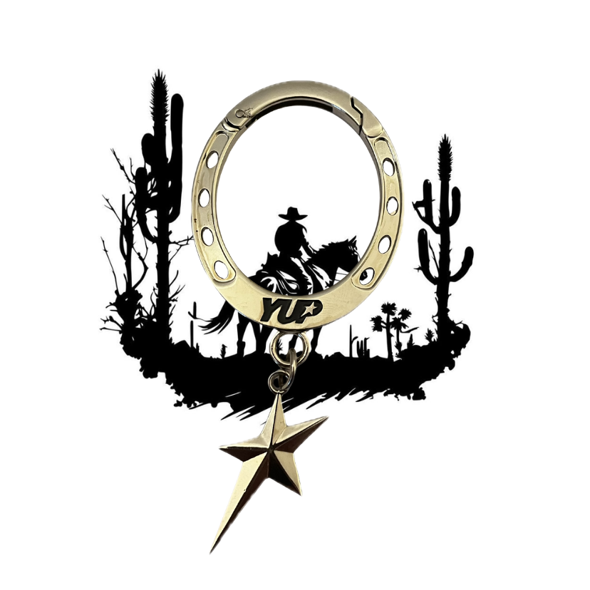 Horseshoe Carabiner with star