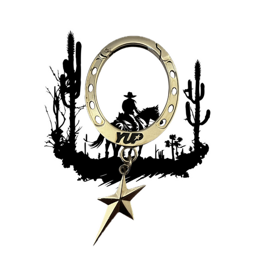 Horseshoe Carabiner with star